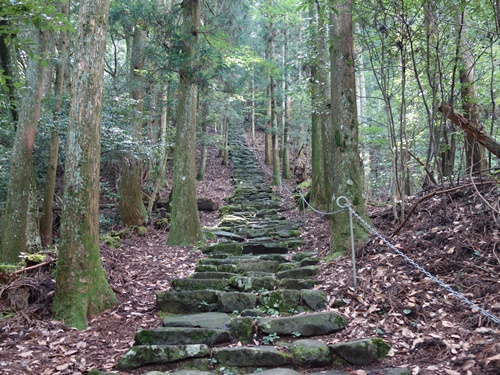 登山道から