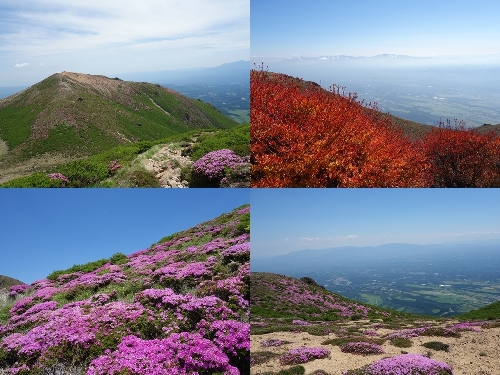 稲星山から