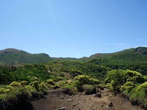 登山道から