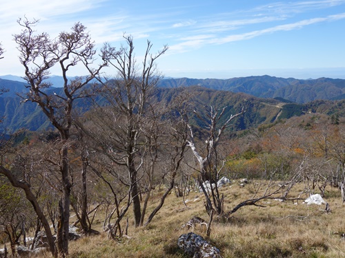 登山道から