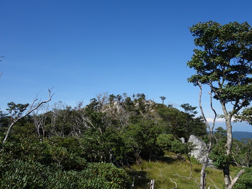 山頂手前