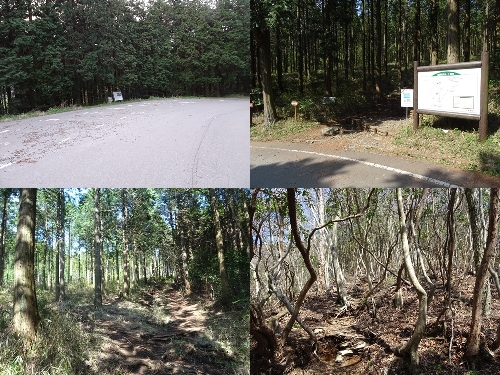 伏石登山口からのルート