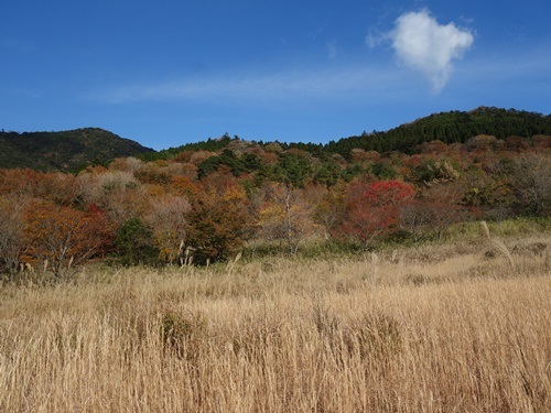 栗野岳