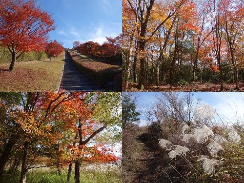 秋の登山道