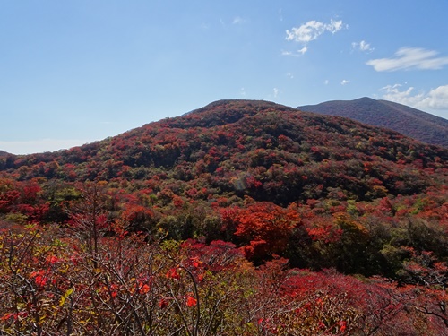 黒岳