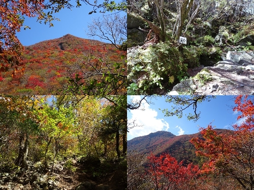 中盤の登山道