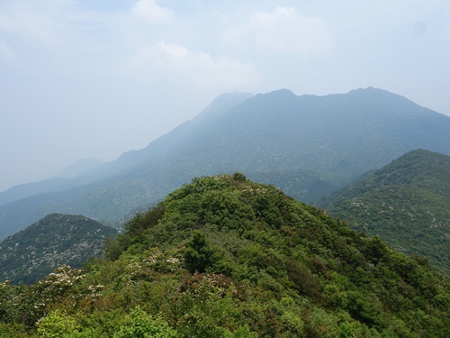 登山道から