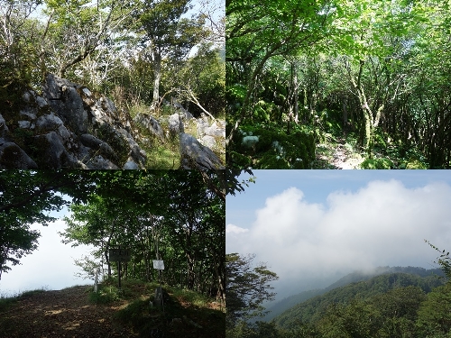 京丈山山頂