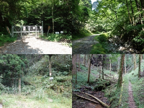 ハチケン谷登山口からのルート
