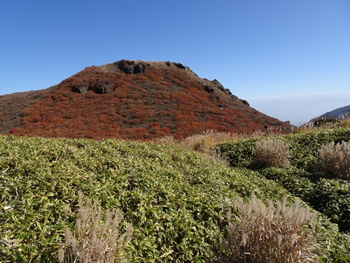 南峰への登山道