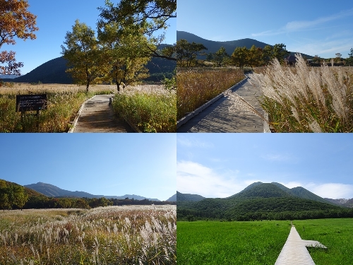 タデ原湿原