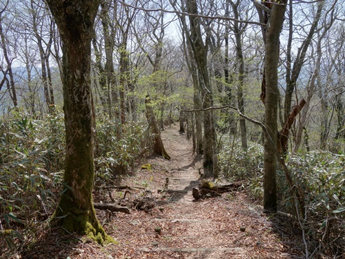 登山道から