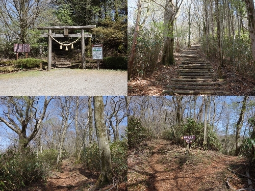 登山口からのルート