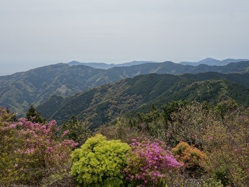 色利山、石槌山方面