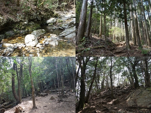 行縢山への登山道