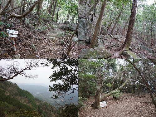 雌岳