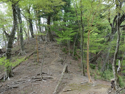 犬流れ峠