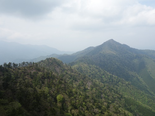 登山道から