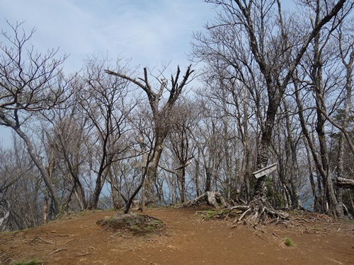 夏木山山頂