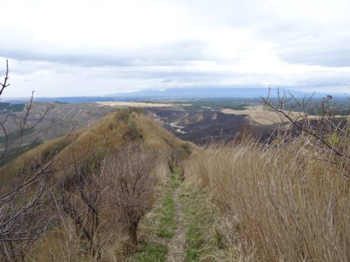 登山道から