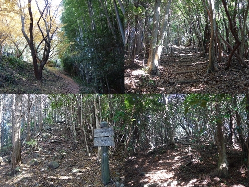 登山口と登山道