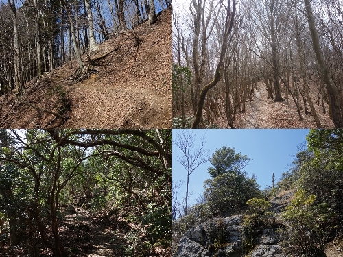 仰烏帽子山への登山道