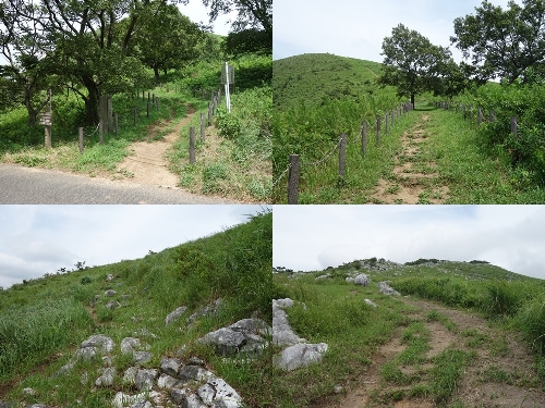 大平山までの登山道