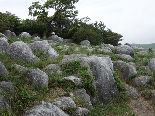 太平山