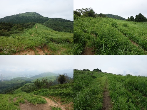 貫山までの登山道