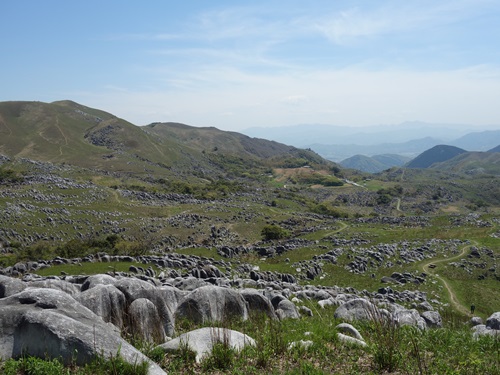 登山道から