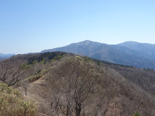 登山道から