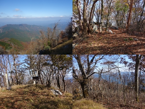 登山道から