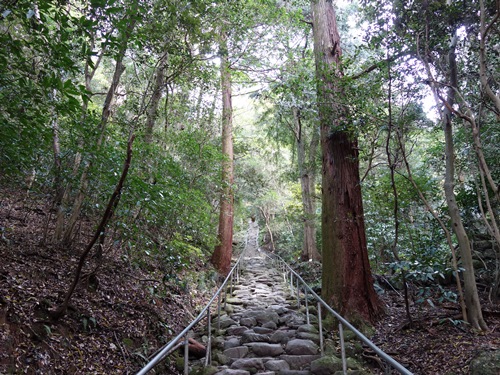 登山道から