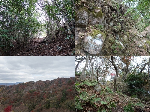 樹林の中