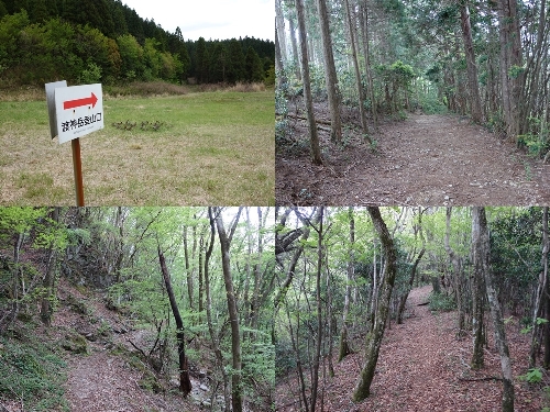 登山口からのルート