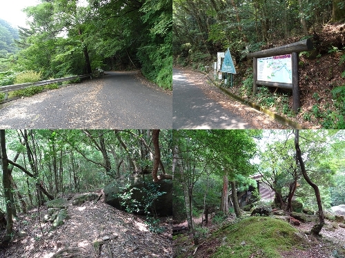 登山口からのルート