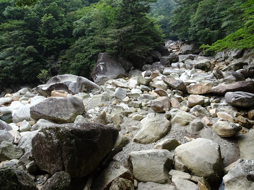 渡渉地点