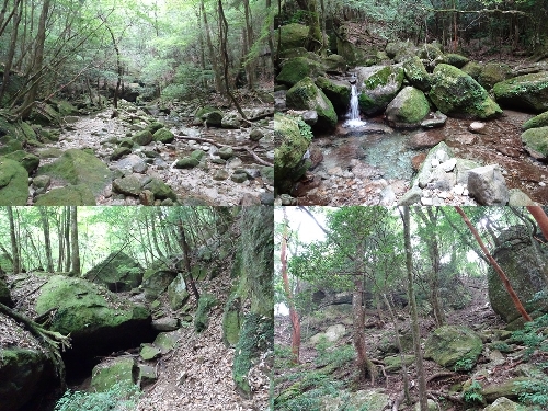 わく塚コースの登山道