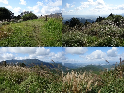 大根地山山頂