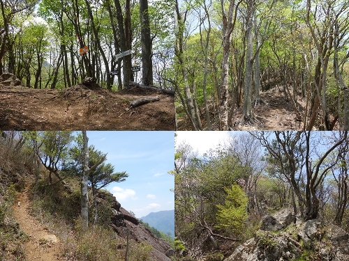 八丁越からの登山道