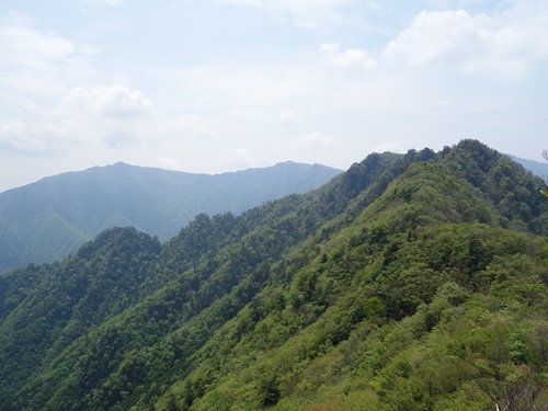 登山道から