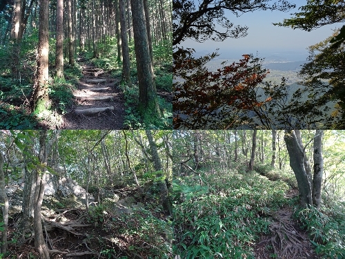 上宮からの登山道