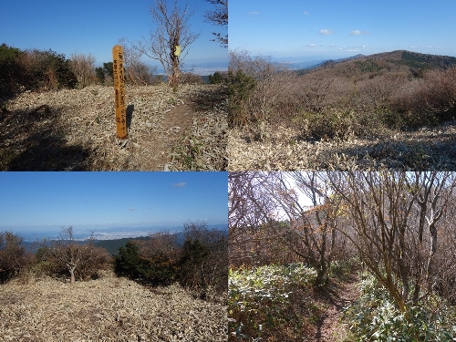 本富士山