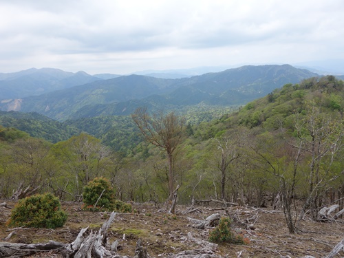 登山道から