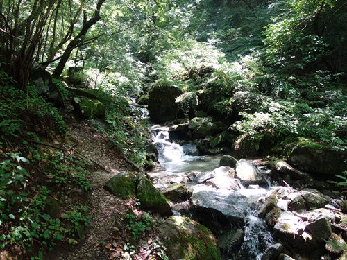 登山道から