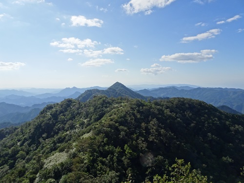 登山道から