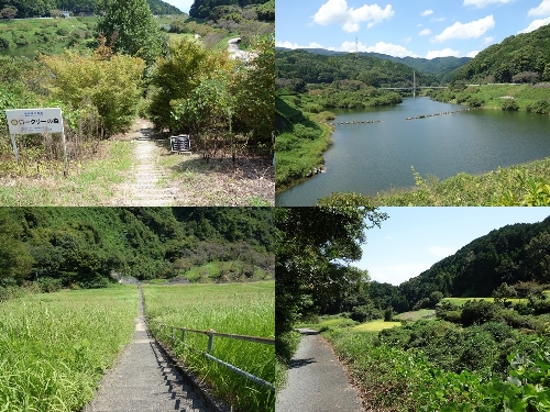 スタート地点と河内ダム付近