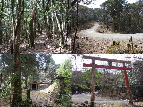 登尾コース