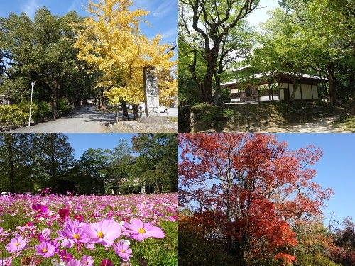 観世音寺