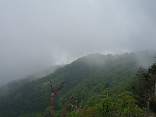 白岩山と向坂山